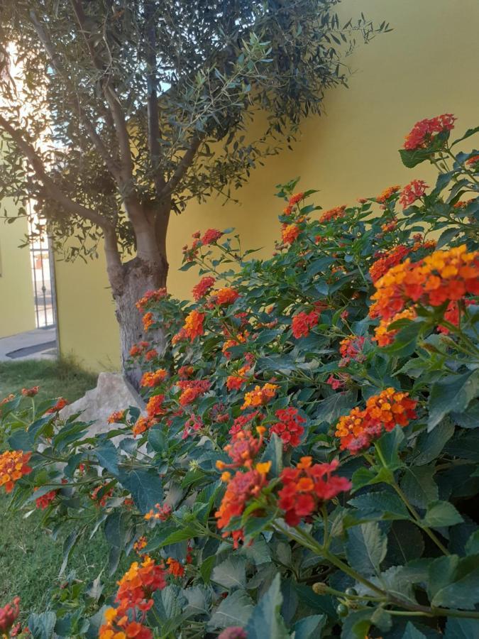 Appartamento A Pula In Zona Residenziale Екстериор снимка